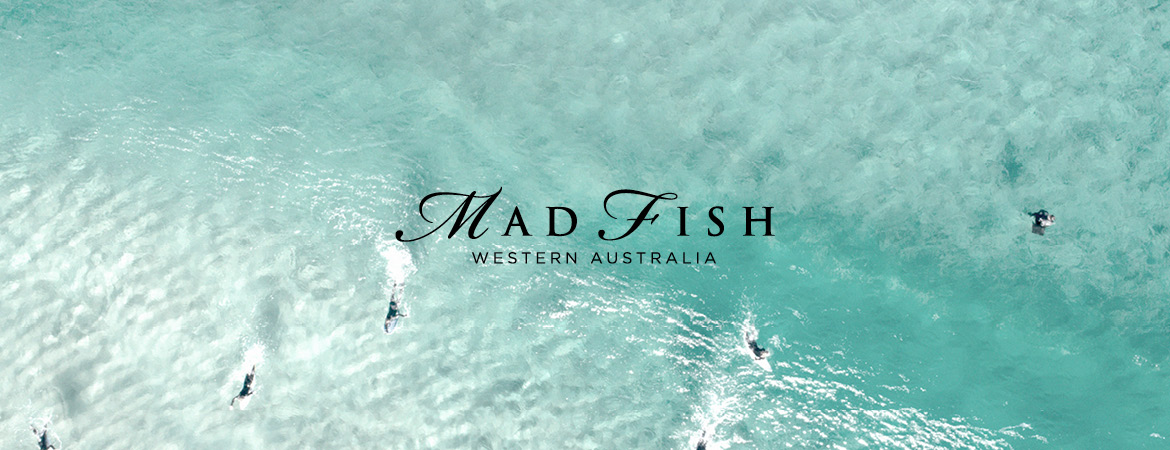 Mad Fish Banner